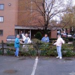 Esther, Aline, Pat and Sharon clean up the rose fence.